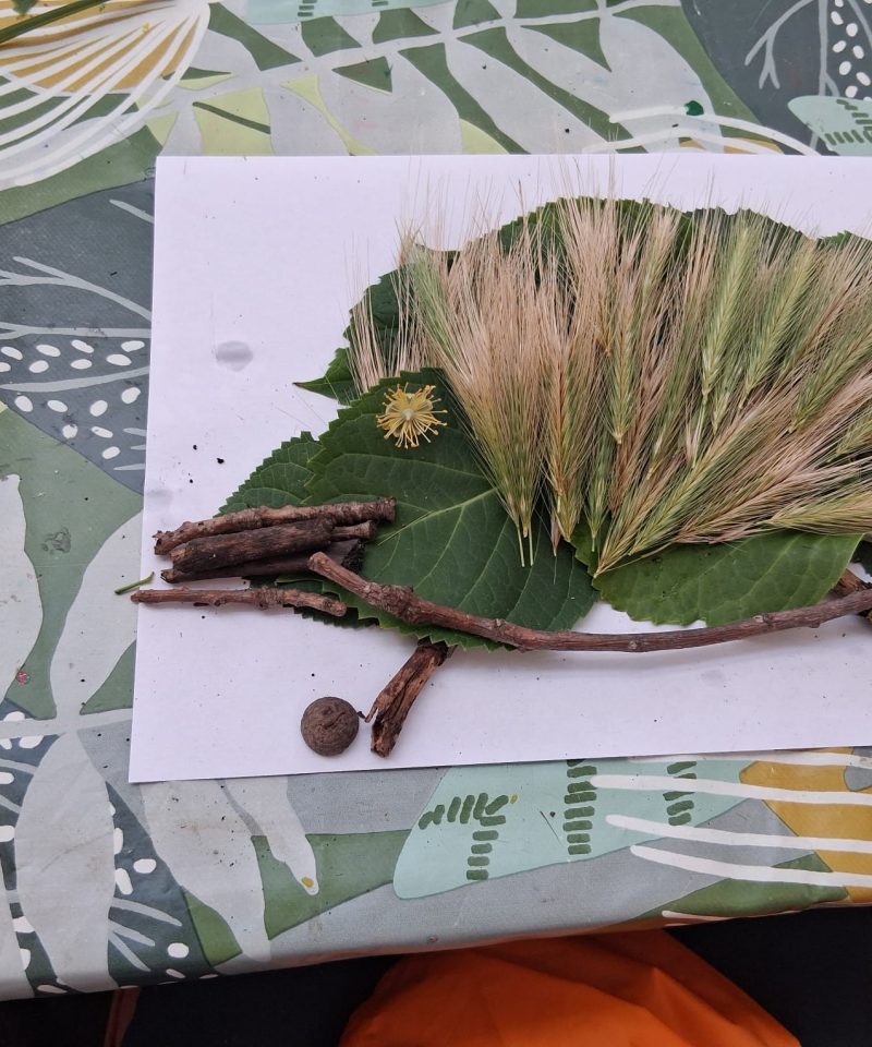 A hedgehog made from leaves, twigs, grasses, and acorns is arranged on white paper atop a leaf-patterned tablecloth.